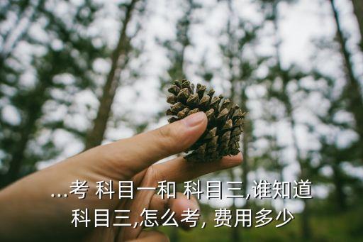...考 科目一和 科目三,誰知道 科目三,怎么考, 費用多少