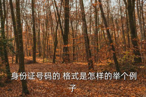 身份證格式