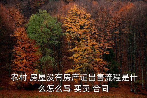  農(nóng)村 房屋沒有房產(chǎn)證出售流程是什么怎么寫 買賣 合同