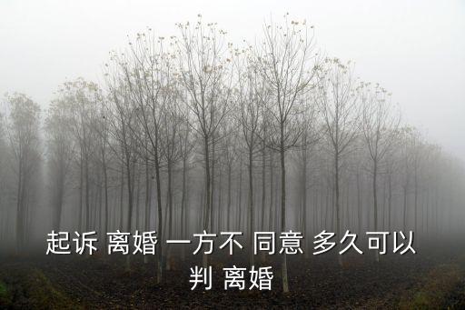 起訴 離婚 一方不 同意 多久可以判 離婚