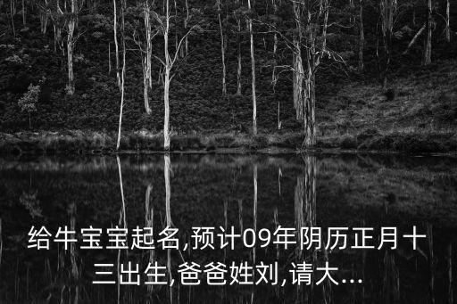 給牛寶寶起名,預(yù)計(jì)09年陰歷正月十三出生,爸爸姓劉,請(qǐng)大...