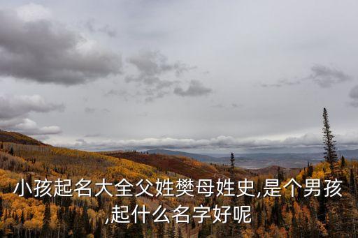 小孩起名大全父姓樊母姓史,是個男孩,起什么名字好呢