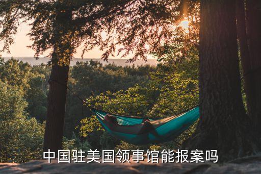 駐美國大使館,俄羅斯駐美國大使館