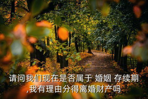 請(qǐng)問(wèn)我們現(xiàn)在是否屬于 婚姻 存續(xù)期,我有理由分得離婚財(cái)產(chǎn)嗎
