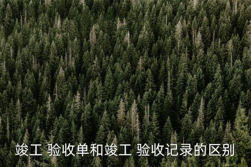 竣工 驗收單和竣工 驗收記錄的區(qū)別