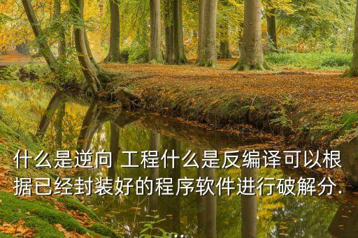 什么是逆向 工程什么是反編譯可以根據(jù)已經(jīng)封裝好的程序軟件進(jìn)行破解分...