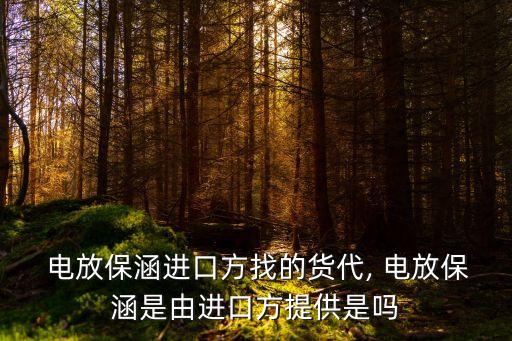  電放保涵進(jìn)口方找的貨代, 電放保涵是由進(jìn)口方提供是嗎