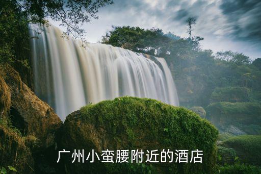 塔店,西安維也納國際酒店大雁塔店