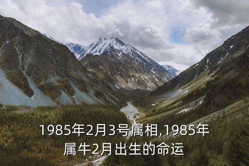 1985年2月3號(hào)屬相,1985年屬牛2月出生的命運(yùn)