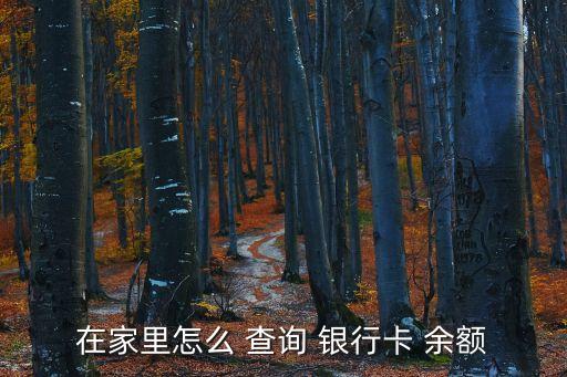 銀行卡余額查詢,下載工商銀行卡余額查詢
