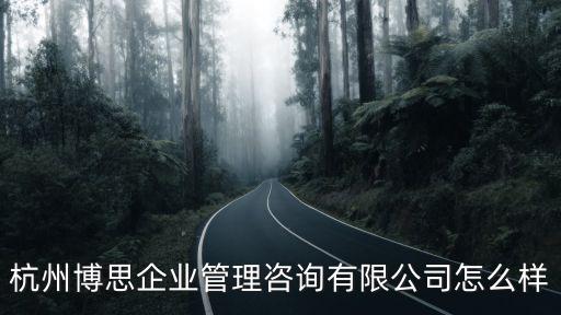 杭州博思企業(yè)管理咨詢有限公司怎么樣