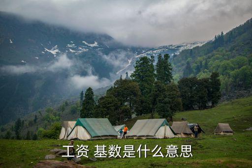 工資基數(shù)