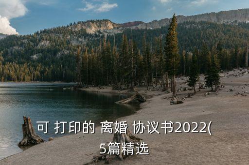 可 打印的 離婚 協(xié)議書2022(5篇精選