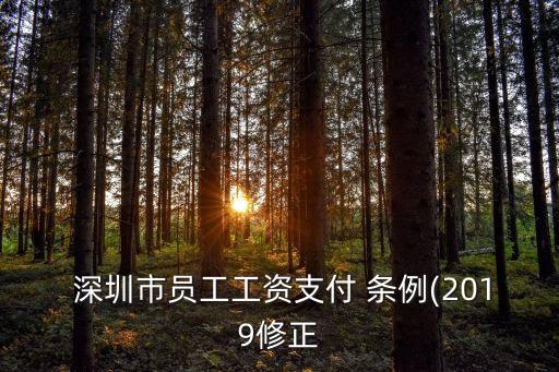  深圳市員工工資支付 條例(2019修正