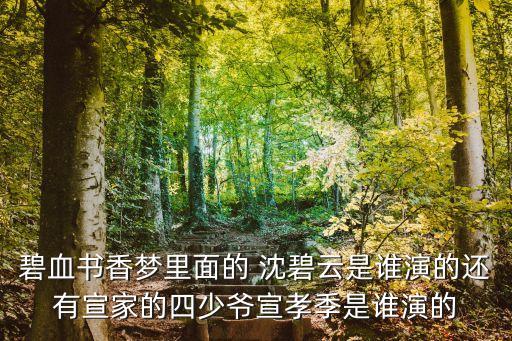 碧血書(shū)香夢(mèng)里面的 沈碧云是誰(shuí)演的還有宣家的四少爺宣孝季是誰(shuí)演的