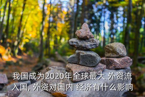 我國成為2020年全球最大 外資流入國, 外資對國內(nèi) 經(jīng)濟有什么影響