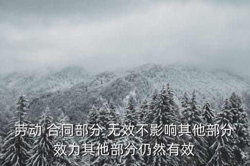 合同無效哪些條款仍有效,民法典合同無效的條款有哪些