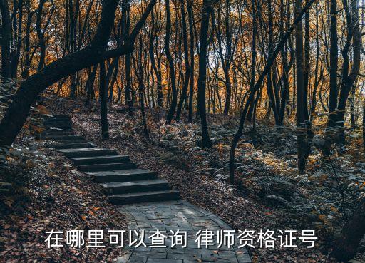 中國(guó)律師網(wǎng),中華全國(guó)律師協(xié)會(huì)辦的中國(guó)律師網(wǎng)