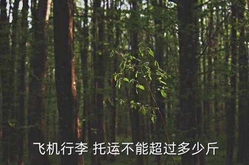 飛機托運重量,去烏茲別克斯坦飛機托運重量