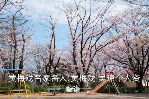 黃梅戲名家名人:黃梅戲 吳瓊個人資料