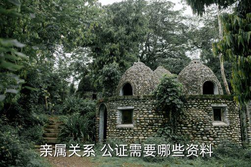  親屬關(guān)系 公證需要哪些資料
