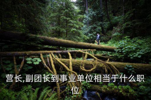副團級轉(zhuǎn)業(yè)什么級別,正團級轉(zhuǎn)業(yè)什么級別