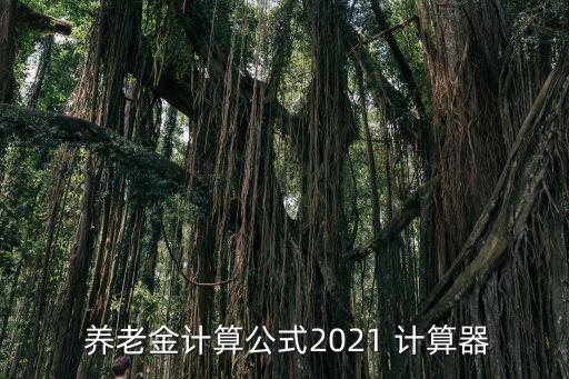 退休養(yǎng)老金計(jì)算器,靈活就業(yè)人員退休養(yǎng)老金計(jì)算器