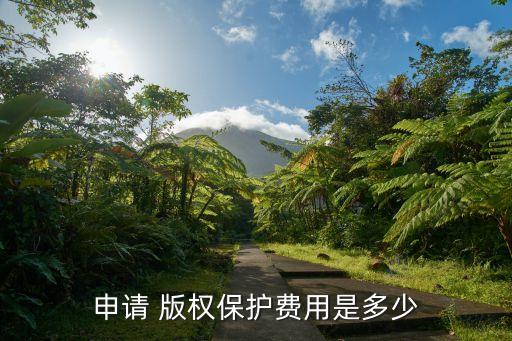 申請 版權(quán)保護(hù)費(fèi)用是多少
