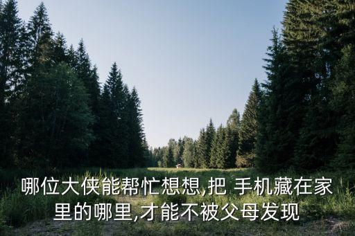 哪位大俠能幫忙想想,把 手機藏在家里的哪里,才能不被父母發(fā)現(xiàn)