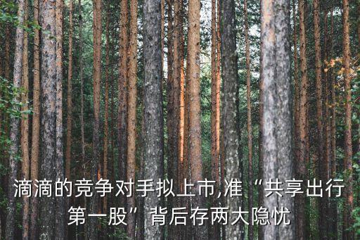 輝山乳業(yè)股票