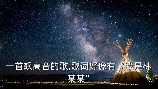 林某某
