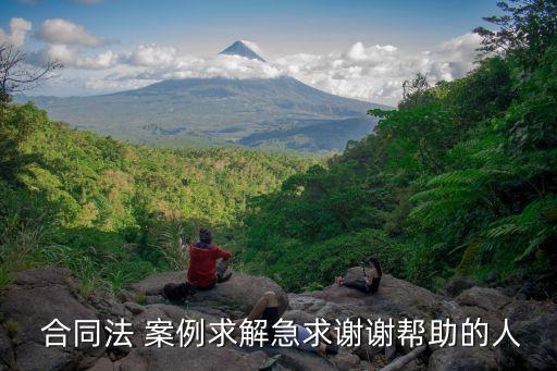 民法典2021年合同法案例分析,2021民法典真實(shí)案例分析