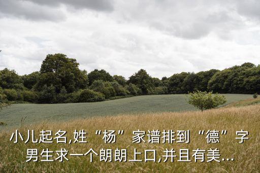 小兒起名,姓“楊”家譜排到“德”字男生求一個(gè)朗朗上口,并且有美...