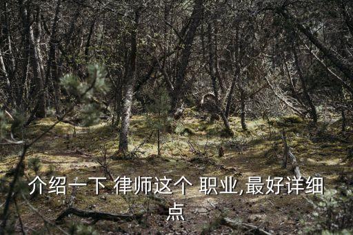 律師是什么職業(yè),律師一般多少錢一個月