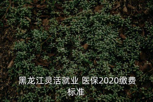  黑龍江靈活就業(yè) 醫(yī)保2020繳費(fèi)標(biāo)準(zhǔn)