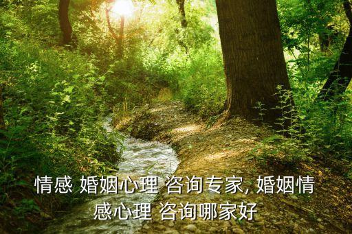 專業(yè)婚姻咨詢,情感咨詢師在線咨詢免費