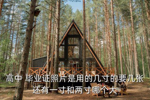 高中 畢業(yè)證照片是用的幾寸的要幾張還有一寸和兩寸哪個(gè)大
