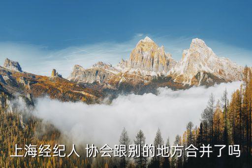 上海經(jīng)紀(jì)人 協(xié)會(huì)跟別的地方合并了嗎