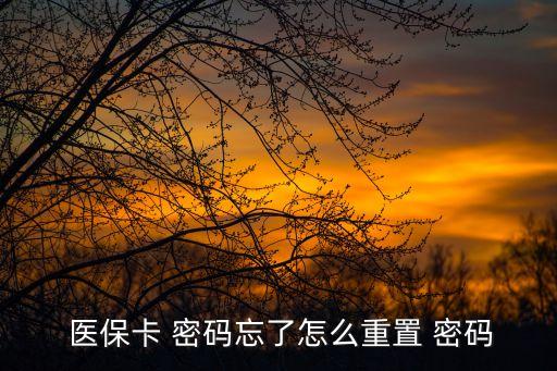  醫(yī)?？?密碼忘了怎么重置 密碼