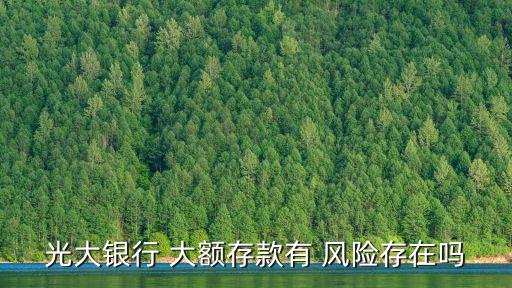 光大銀行 大額存款有 風(fēng)險(xiǎn)存在嗎