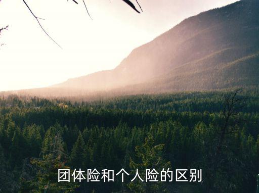 團體險和個人險的區(qū)別