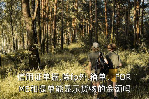 信用證單據(jù),除fp外,箱單、FORME和提單能顯示貨物的金額嗎