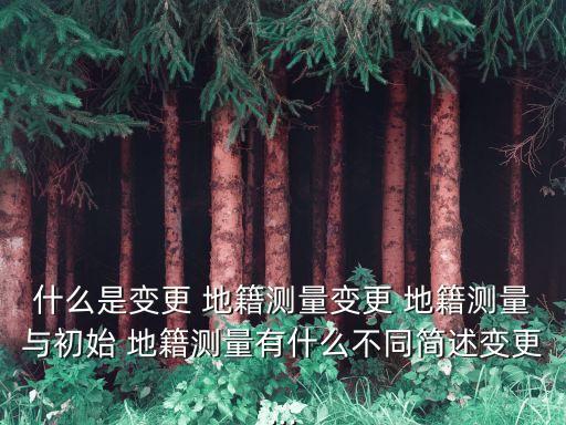 地籍調(diào)查規(guī)程,城鎮(zhèn)地籍調(diào)查規(guī)程