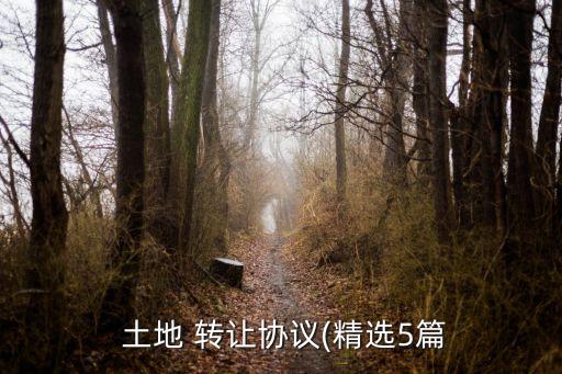  土地 轉(zhuǎn)讓協(xié)議(精選5篇