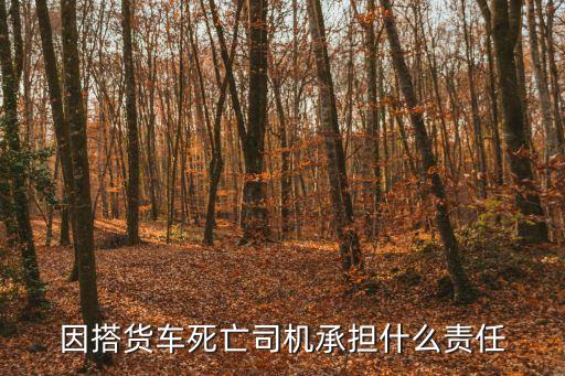 搭車人