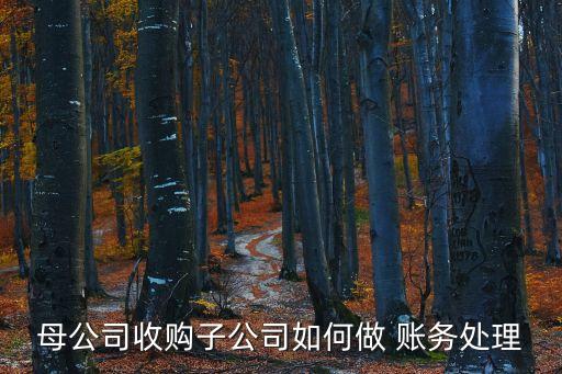 吸收合并賬務處理,非同一控制吸收合并賬務處理