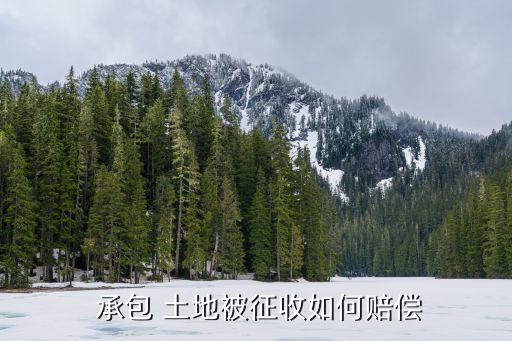 我承包的土地被政府征用怎么辦,村干部未經(jīng)村民同意強行征地