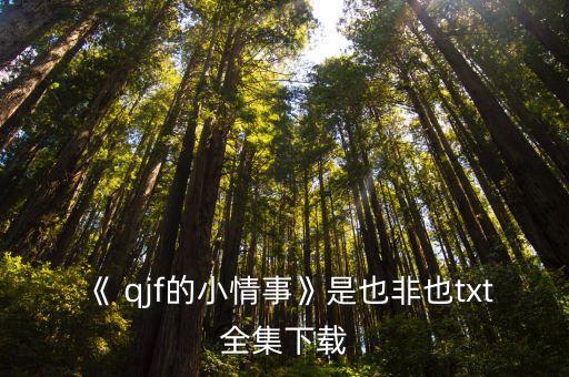 《 qjf的小情事》是也非也txt全集下載