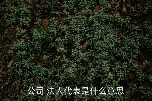 公司 法人代表是什么意思