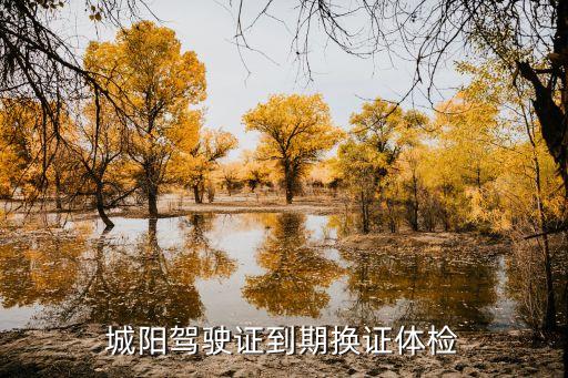 城陽(yáng)車管所電話,駕駛證24小時(shí)在線咨詢電話